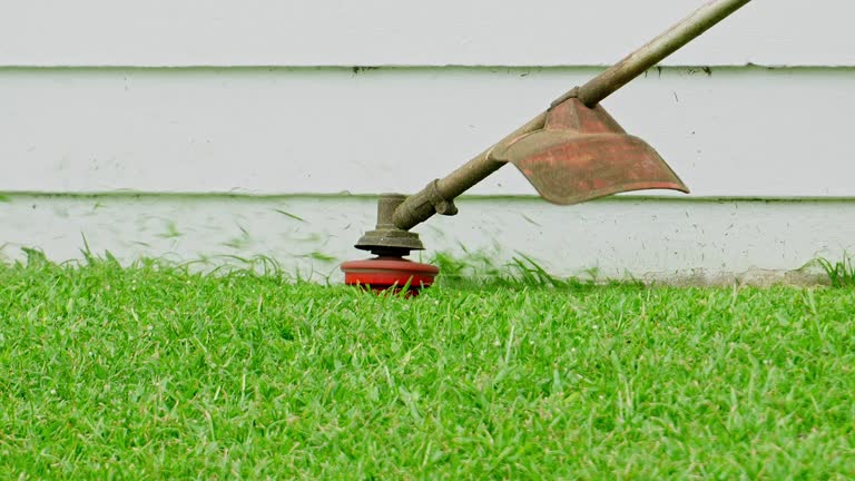 Best Lawn Renovation and Restoration  in Riverside, CA